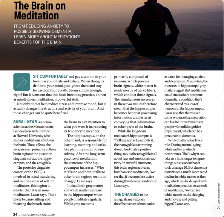 The Brain on Meditation Discover article