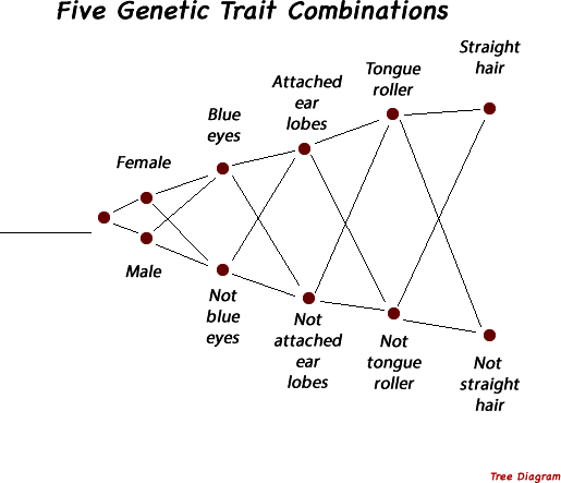 Five genetic traits tree diagram image