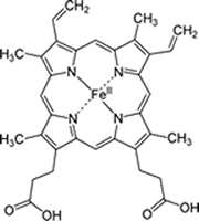 Hemoglobin diagram