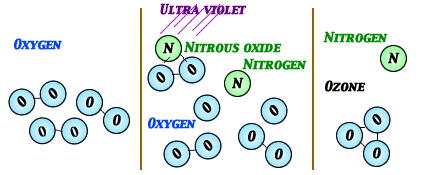 Ozone model