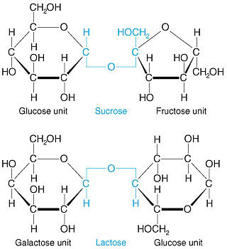 Sugar diagrams