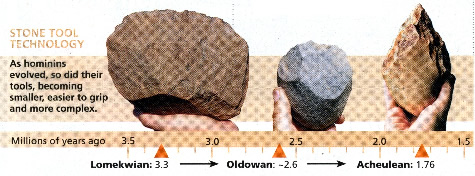 Stone tools