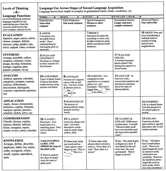 Language Use across stages of second language acquisition