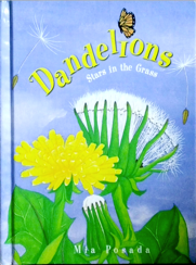 Dandelions