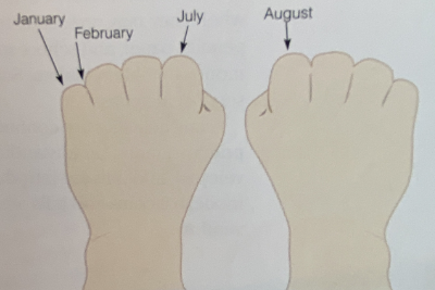 Month knuckle mnemonic