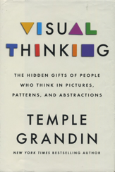 Visual Thinking cover