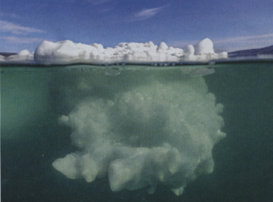 Iceberg