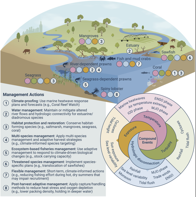 Marine Ecosystem Model