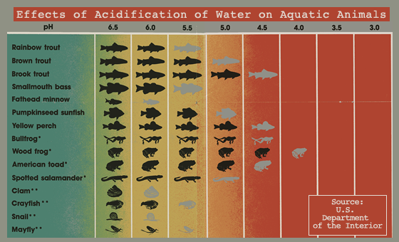 Animal & Ph of water survival