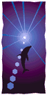Jumping dolphin
