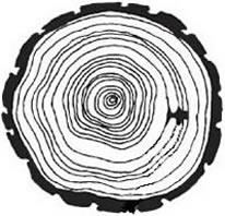 image rings