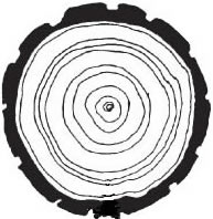 image rings