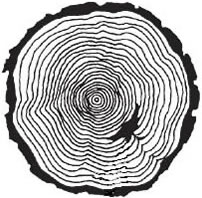 image rings