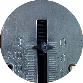 Scale close up