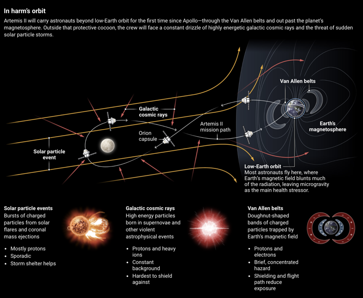 Inharm's way. Artemis II orbit