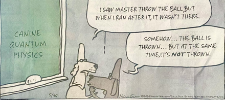 Dogs and Quantum physics