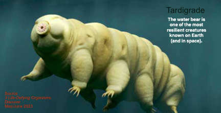 Tardigrade