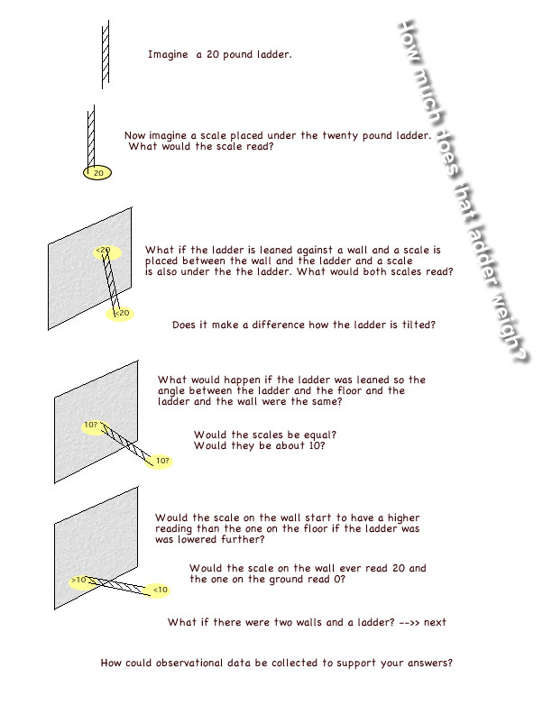 ladder